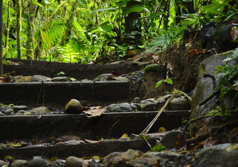 فندق Hideaway Rio Celeste