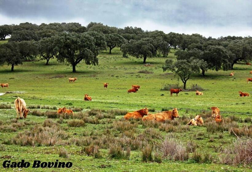 호텔 Rural Da Ameira