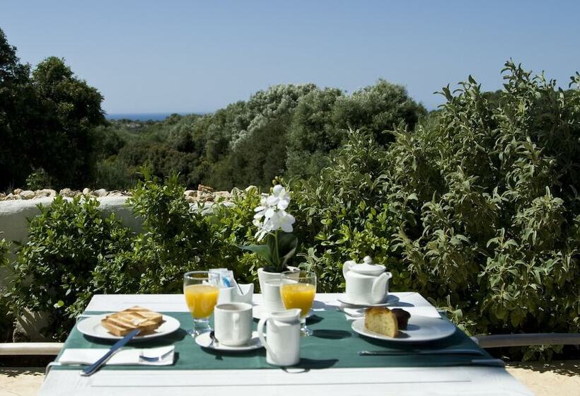 فندق ريفى Rural Binigaus Vell