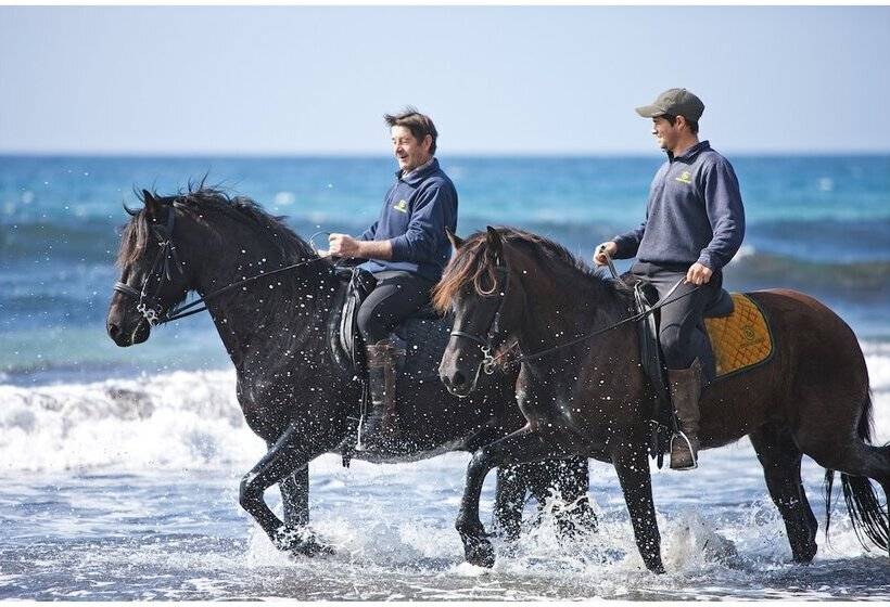 فندق ريفى Rural Binigaus Vell
