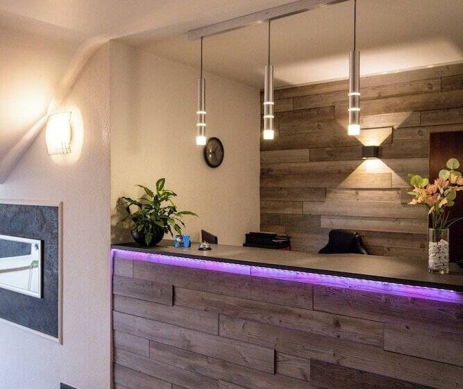 호텔 Schmidt Garni