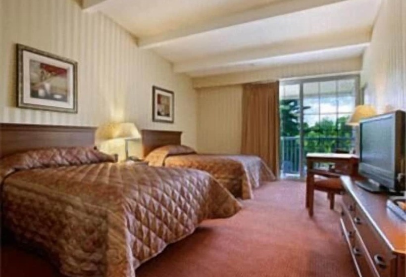 ホテル Homespring Inn & Studios