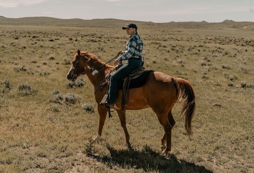 فندق Ta Ranch