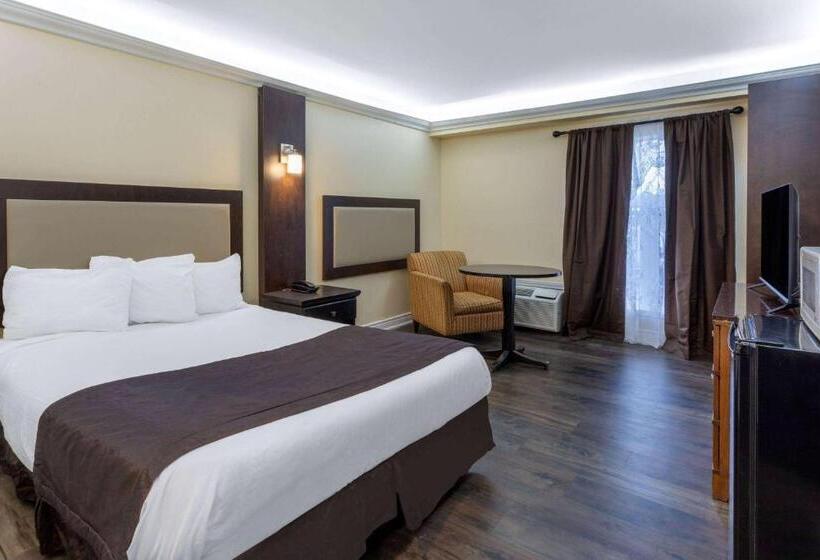 ホテル Travelodge By Wyndham Sarnia