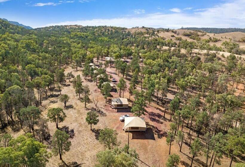 فندق Discovery Resorts   Wilpena Pound