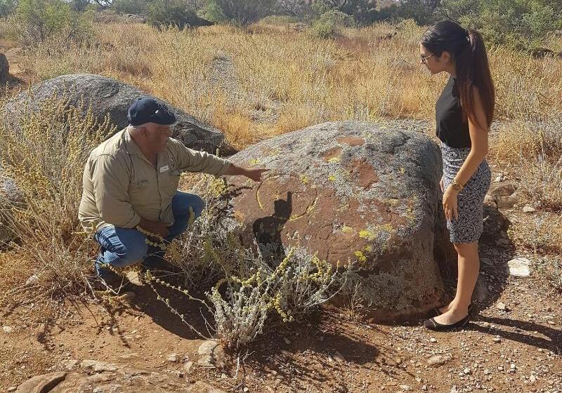 فندق Discovery Resorts   Wilpena Pound