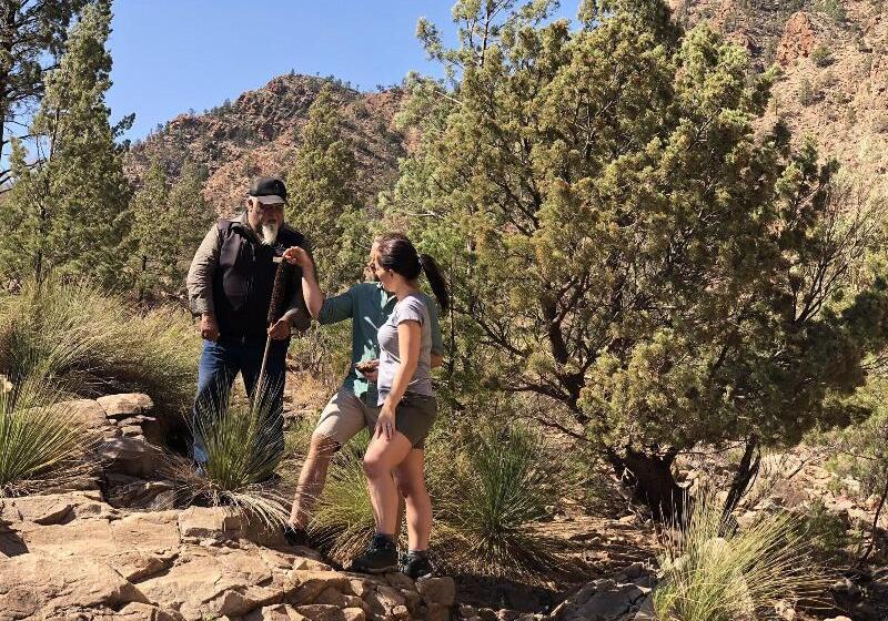 فندق Discovery Resorts   Wilpena Pound