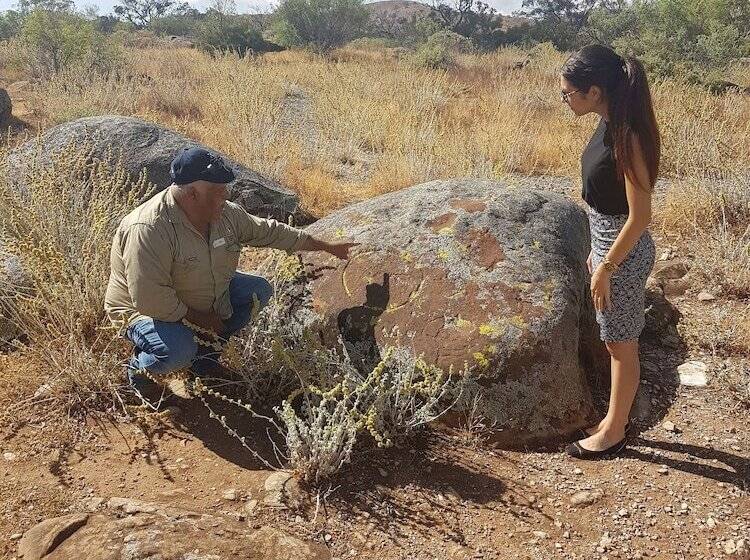 فندق Discovery Resorts   Wilpena Pound