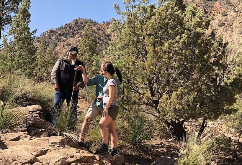 فندق Discovery Resorts   Wilpena Pound