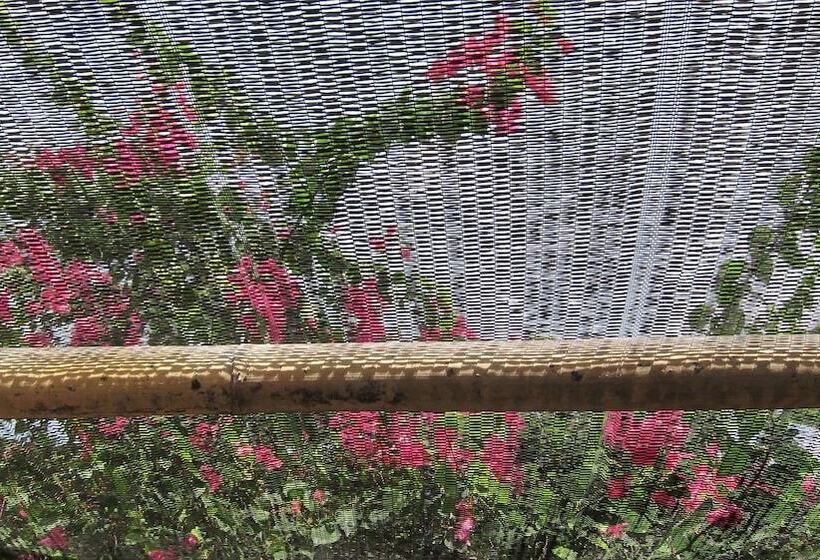 هتل Scallywags Smugglers