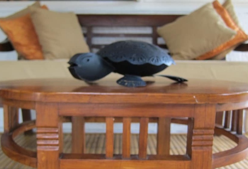 호텔 Scallywags Smugglers