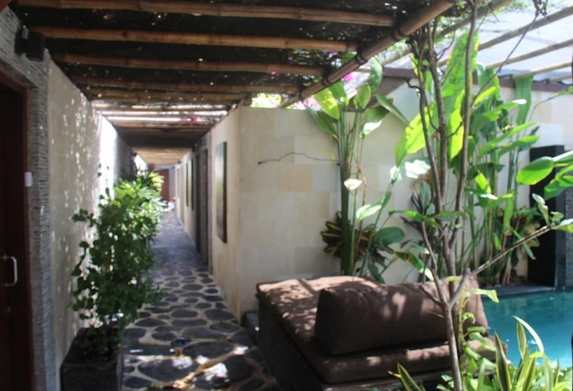 호텔 Scallywags Smugglers