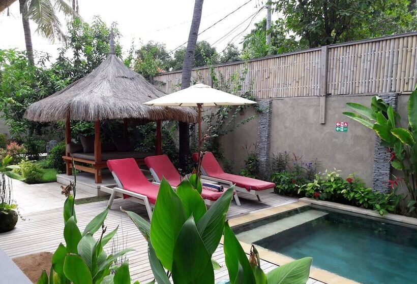 호텔 Scallywags Smugglers