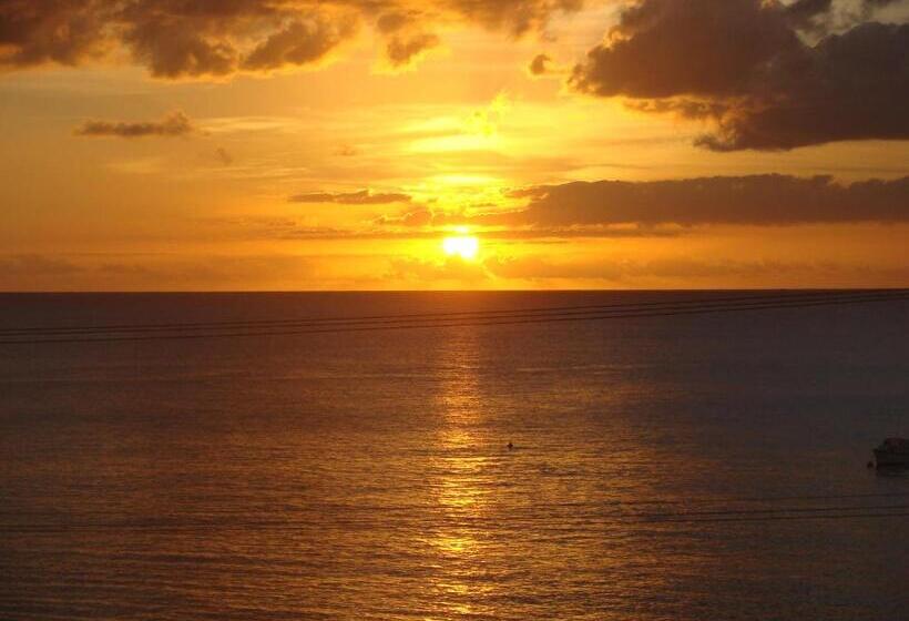 Hotel Coral Lane Beach Apartments