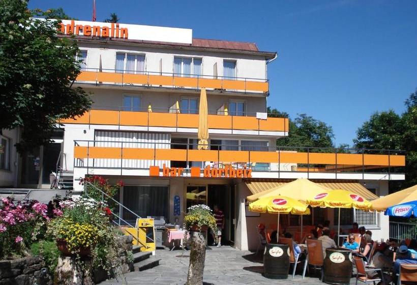 Adrenalin Backpackers Hostel