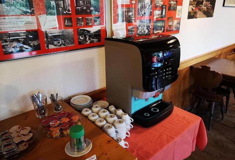 Adrenalin Backpackers Hostel