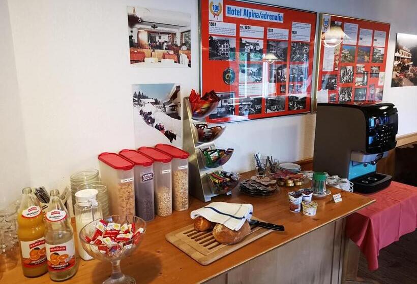 Adrenalin Backpackers Hostel