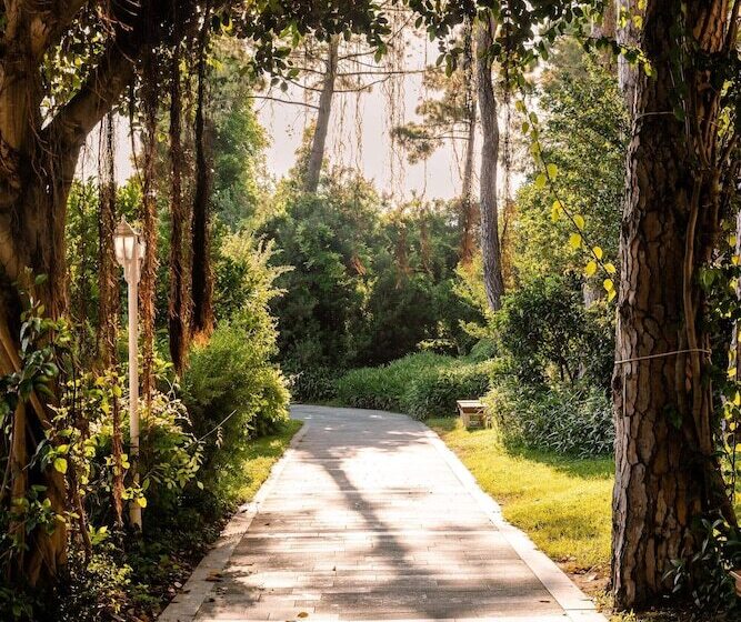 Ali Bey Resort Sorgun   Ultra All Inclusive