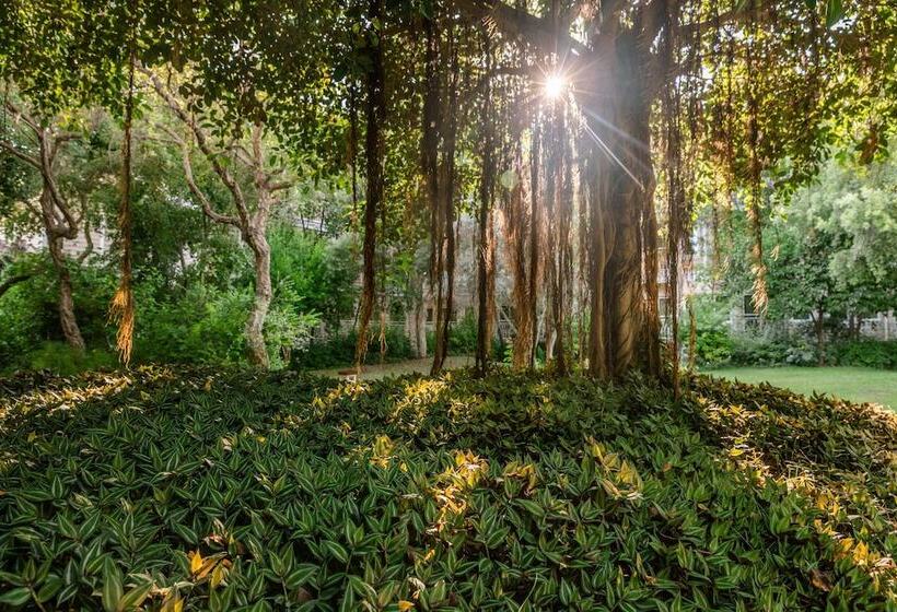 Ali Bey Resort Sorgun   Ultra All Inclusive