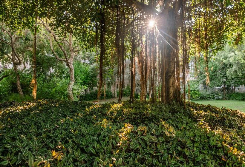 Ali Bey Resort Sorgun   Ultra All Inclusive