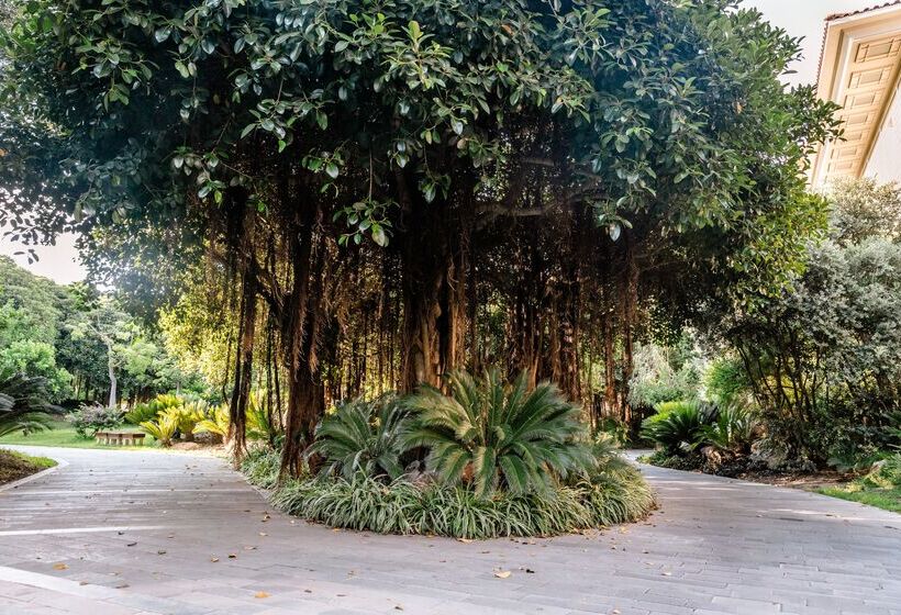 Ali Bey Resort Sorgun   Ultra All Inclusive