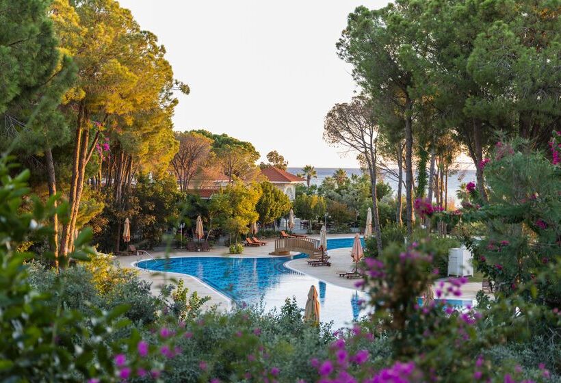 Ali Bey Resort Sorgun   Ultra All Inclusive