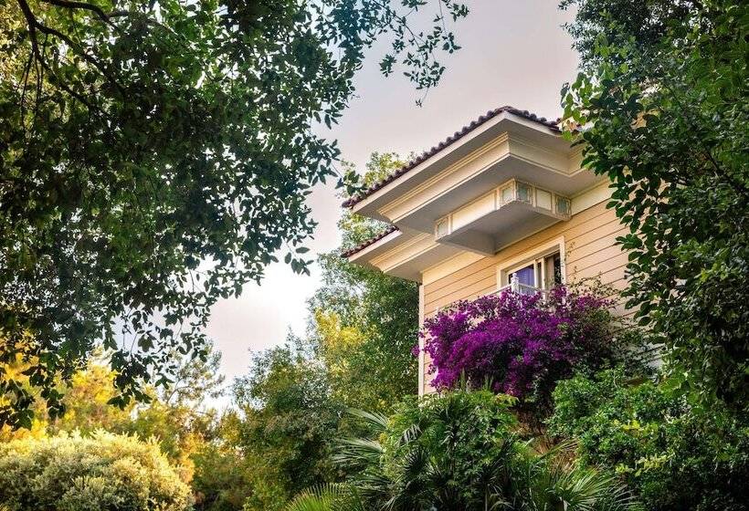 Ali Bey Resort Sorgun   Ultra All Inclusive