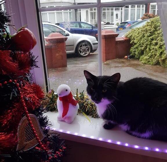 Bed and Breakfast A&p At The Sheron House