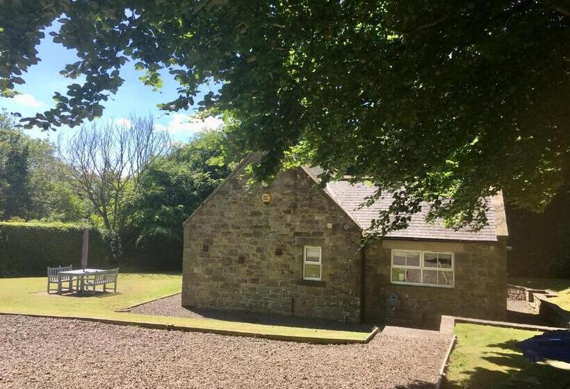 مبيت وإفطار Chatton Park House Adult Only