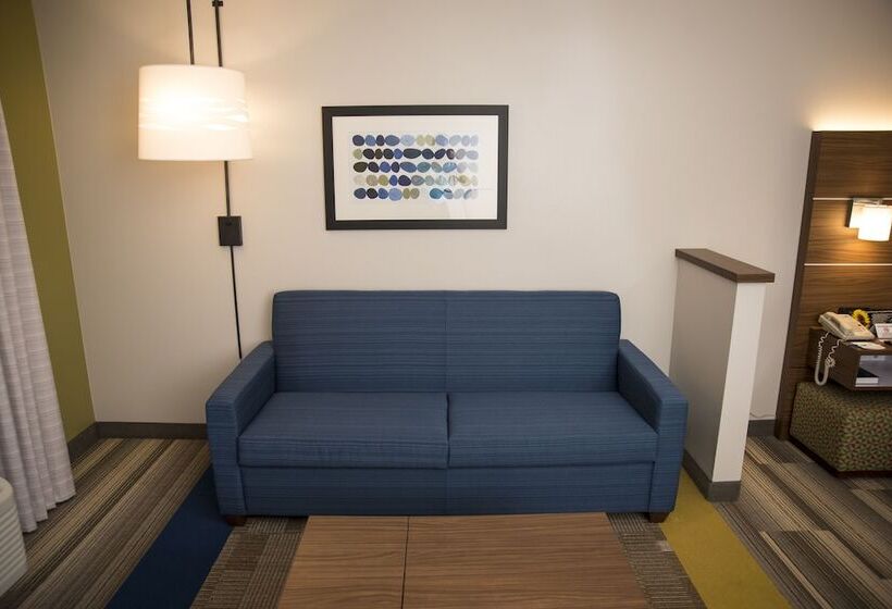 Holiday Inn Express Hotel & Suites Lexington Downtown University, An Ihg