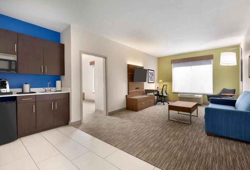 Holiday Inn Express Hotel & Suites Opelika Auburn, An Ihg