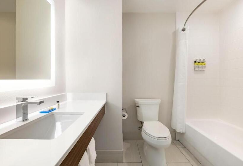 Holiday Inn Express Hotel & Suites Opelika Auburn, An Ihg