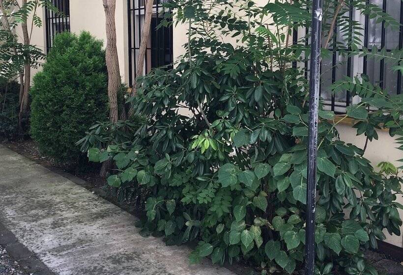 مسافرخانه Pension City Center