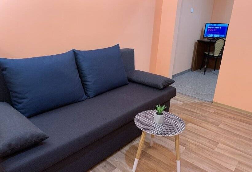 مسافرخانه Pension City Center