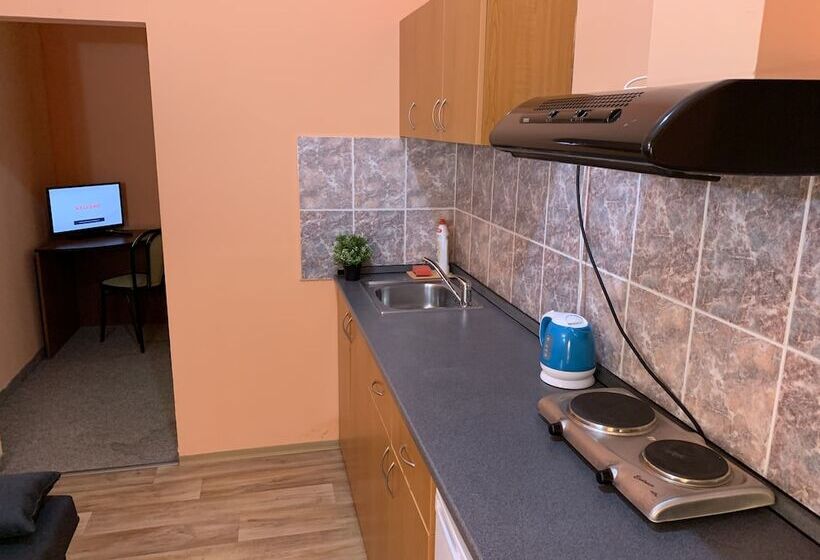 مسافرخانه Pension City Center