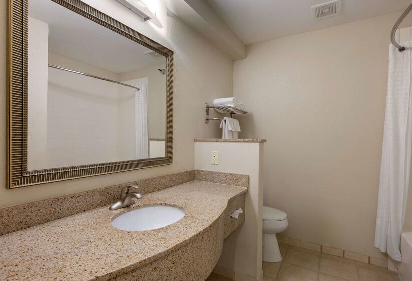 酒店 Best Western Plus Omaha Airport Inn