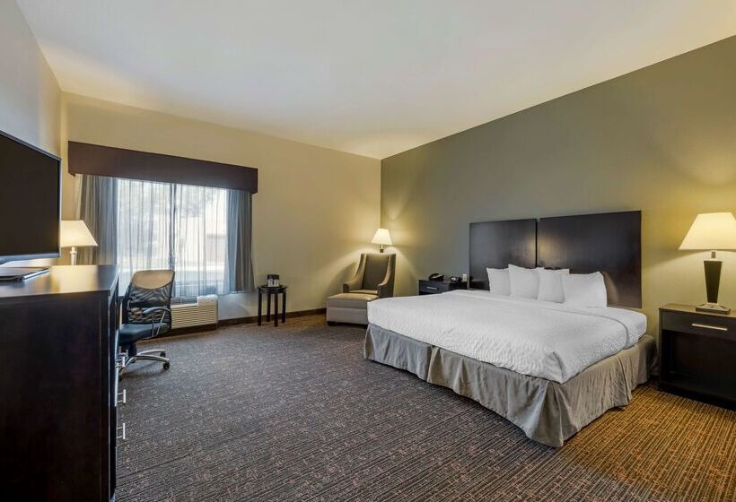 酒店 Best Western Plus Omaha Airport Inn
