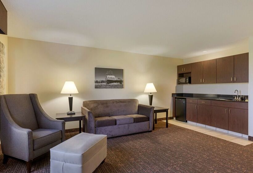 ホテル Best Western Plus Omaha Airport Inn