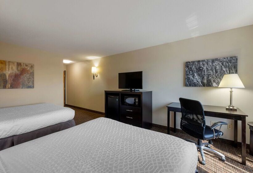 酒店 Best Western Plus Omaha Airport Inn