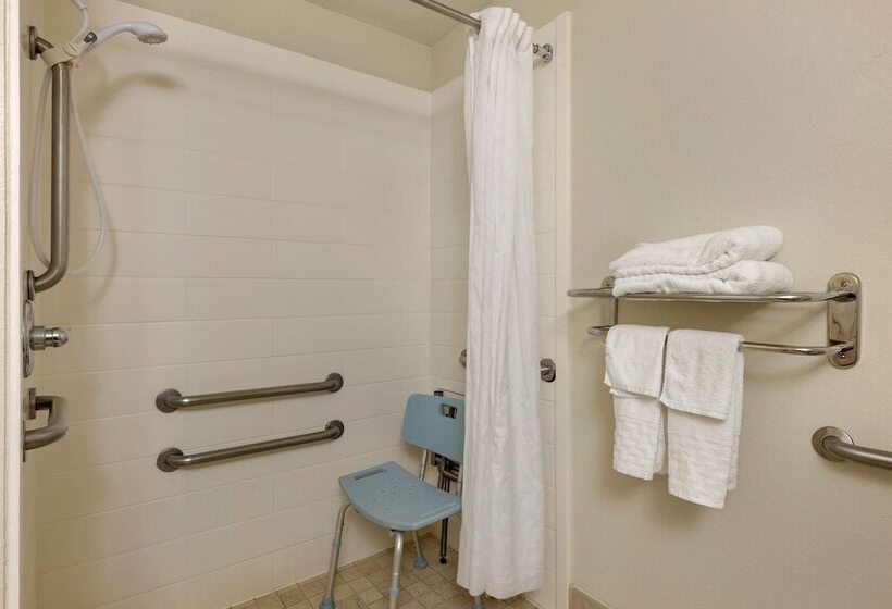 酒店 Best Western Plus Omaha Airport Inn