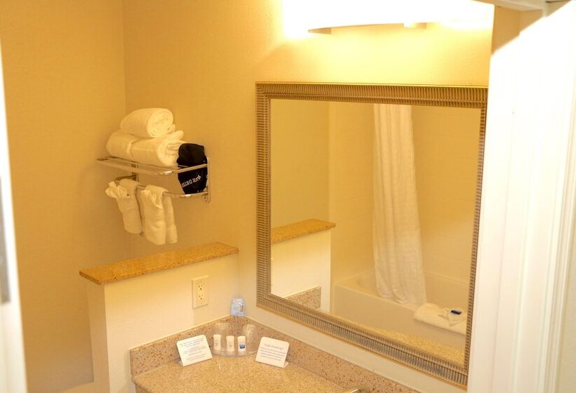 هتل Best Western Plus Omaha Airport Inn
