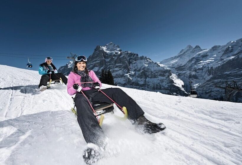 Отель Blume Interlaken