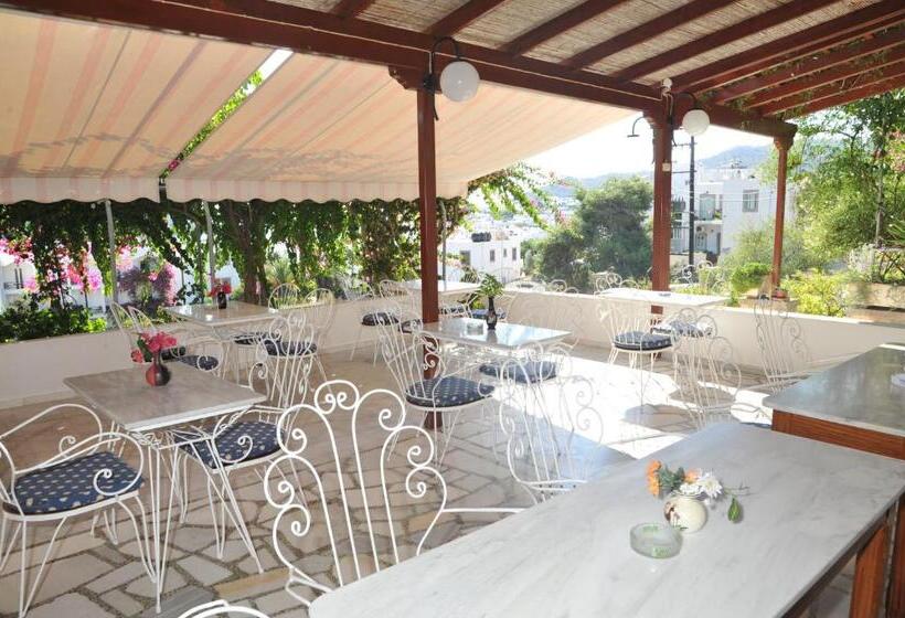 בית מלון כפרי Casteli