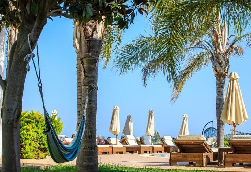 酒店 Colonides Beach