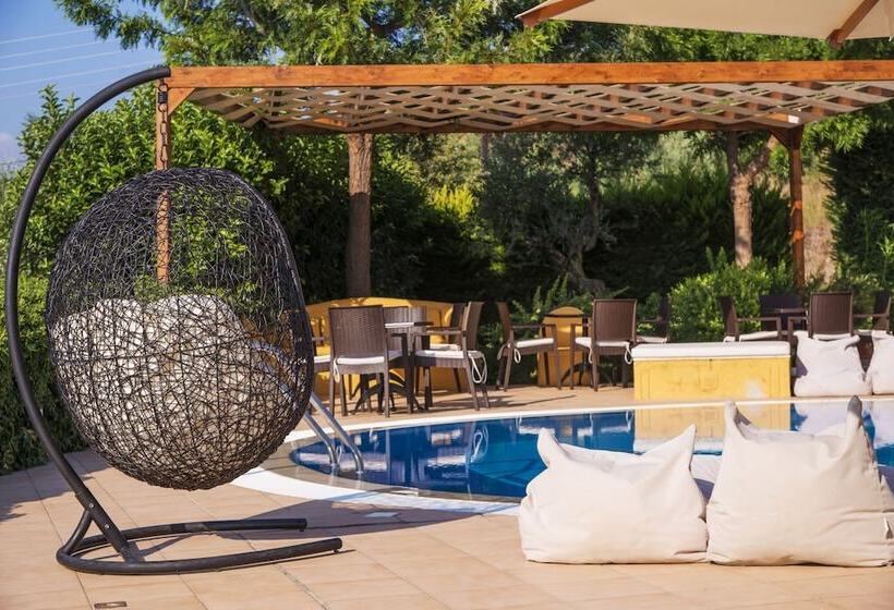 酒店 Colonides Beach