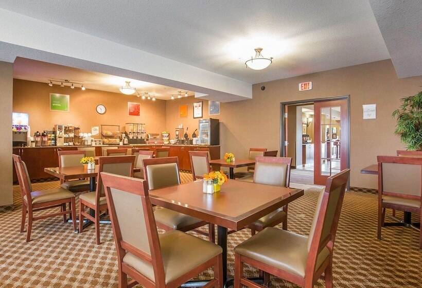 فندق Comfort Inn & Suites