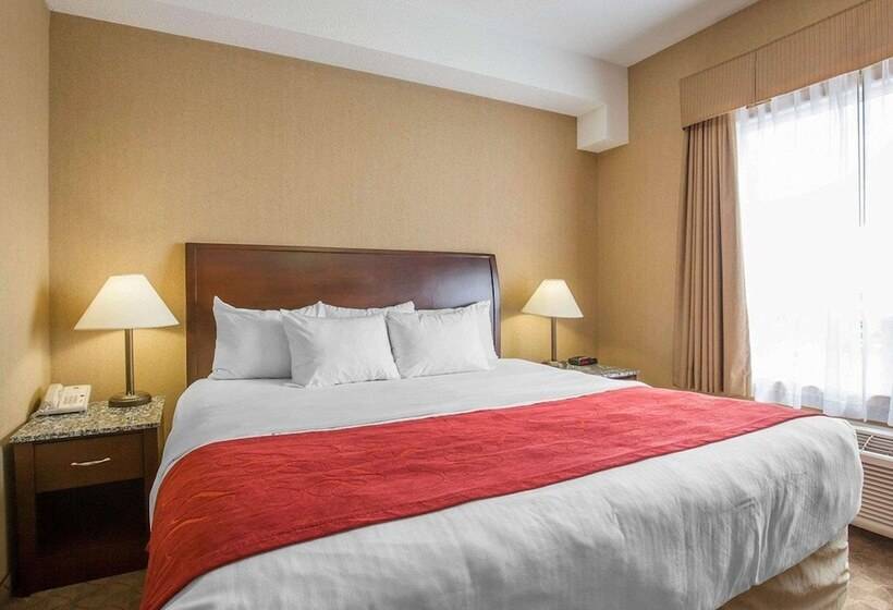 בית מלון כפרי Comfort Inn & Suites