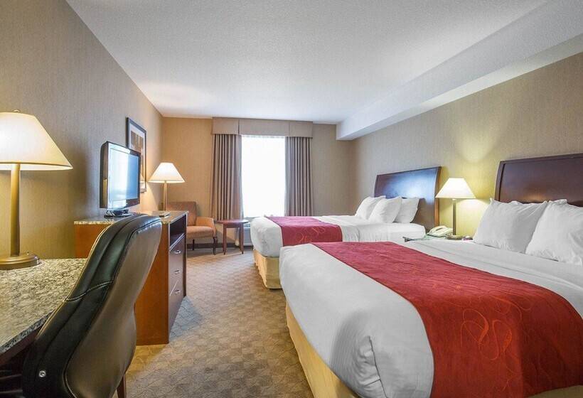 בית מלון כפרי Comfort Inn & Suites