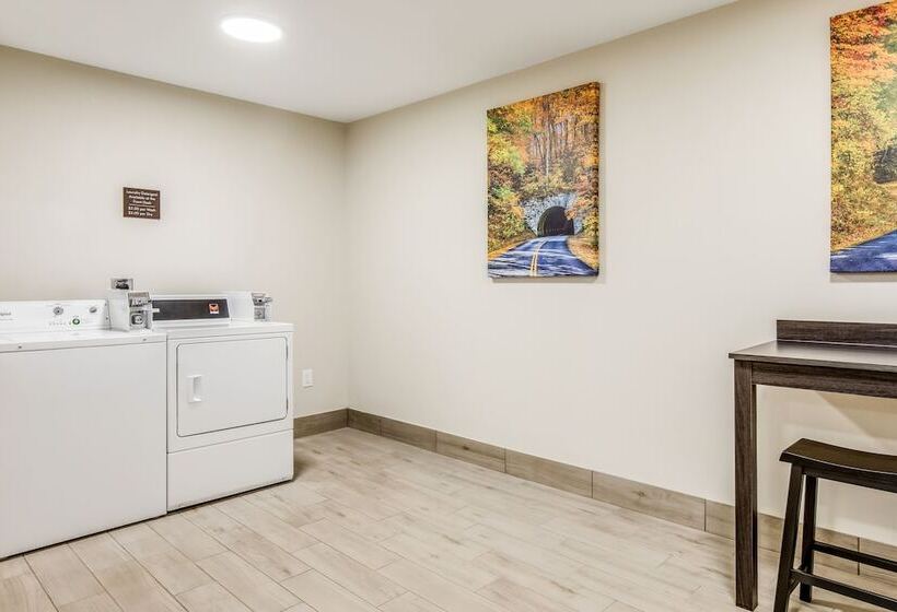 酒店 Comfort Inn & Suites