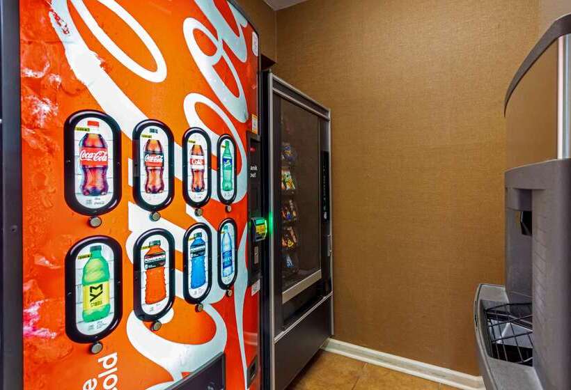 فندق Comfort & Inn Suites